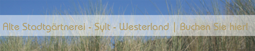 Erleben sie Sylt!